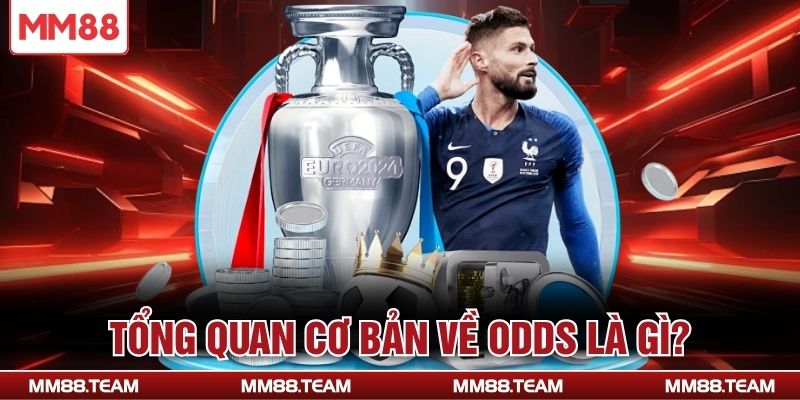 Tổng quan cơ bản về Odds là gì?